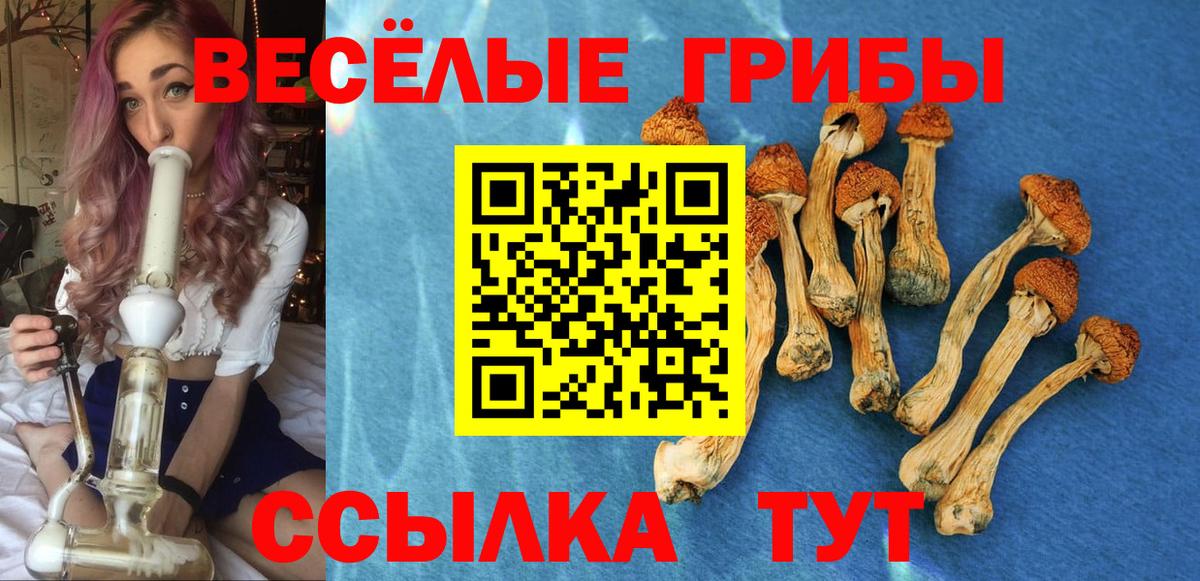 Галлюциногенные грибы MAGIC MUSHROOMS  Вход с VPN  Можга 